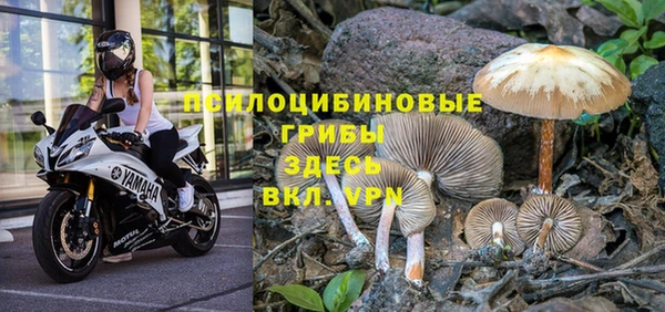 таблы Липки