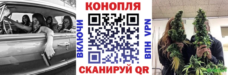 Бошки Шишки планчик  Купить  Чудово 